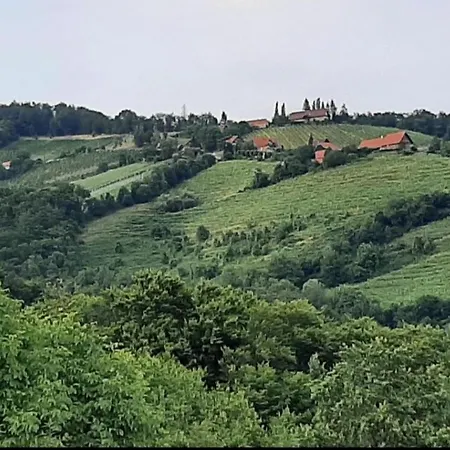 Obstbau Und Gastezimmer Stani Homestay Kitzeck im Sausal
