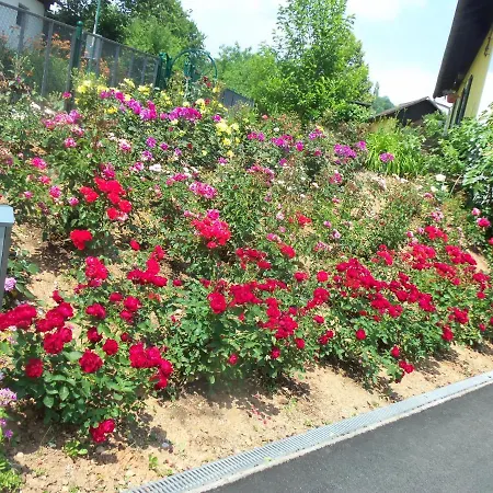 民宿 Obstbau Und Gaestezimmer Stani