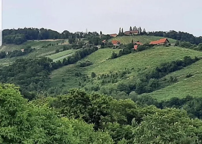 Obstbau Und Gaestezimmer Stani 民宿 绍萨尔地区基策克