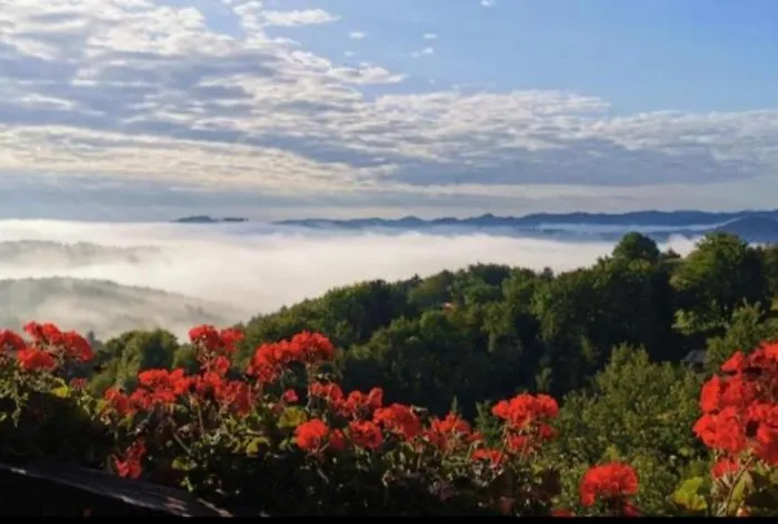 民宿 Obstbau Und Gaestezimmer Stani