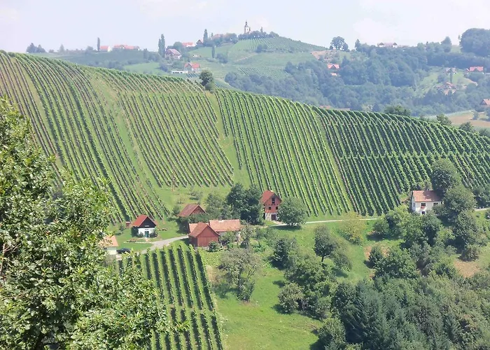 Obstbau Und Gaestezimmer Stani 民宿 绍萨尔地区基策克