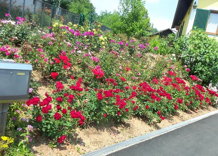 Homestay Obstbau Und Gastezimmer Stani